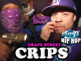 GRAPE STREET CRIPS in NJ!!