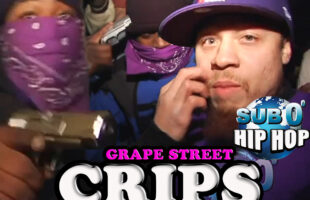 GRAPE STREET CRIPS in NJ!!