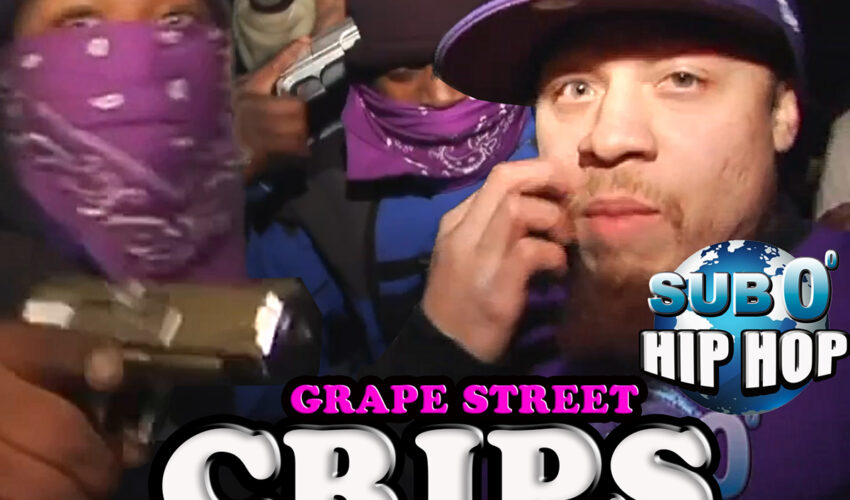 GRAPE STREET CRIPS in NJ!!