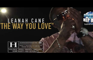 THE WAY YOU LOVE by Leanah cane.