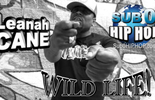 WILD LIFE! -Leanah Cane